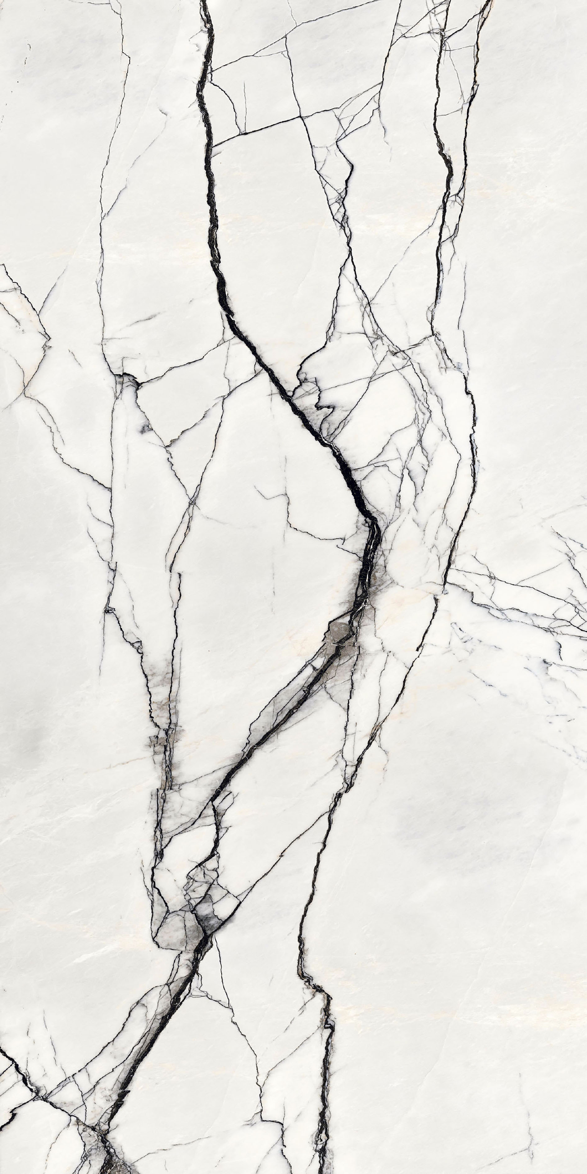 765503 На пол B and W Marble Breach High-Glossy 6mm 160x320 - фото 2