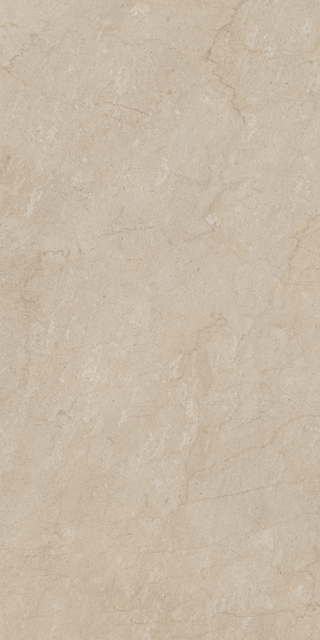AEM01/NS_R9/80x160x10R/GW На пол Элемента AEM01 Бежевый Неполированный Рект 80x160x10 - фото 12