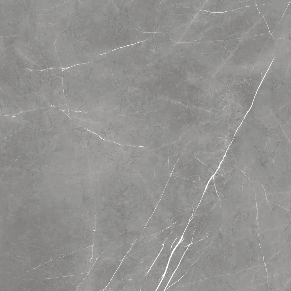 610010002724 Напольный Forte dei Marmi Elegant Mystic Grey Lastra 60x60