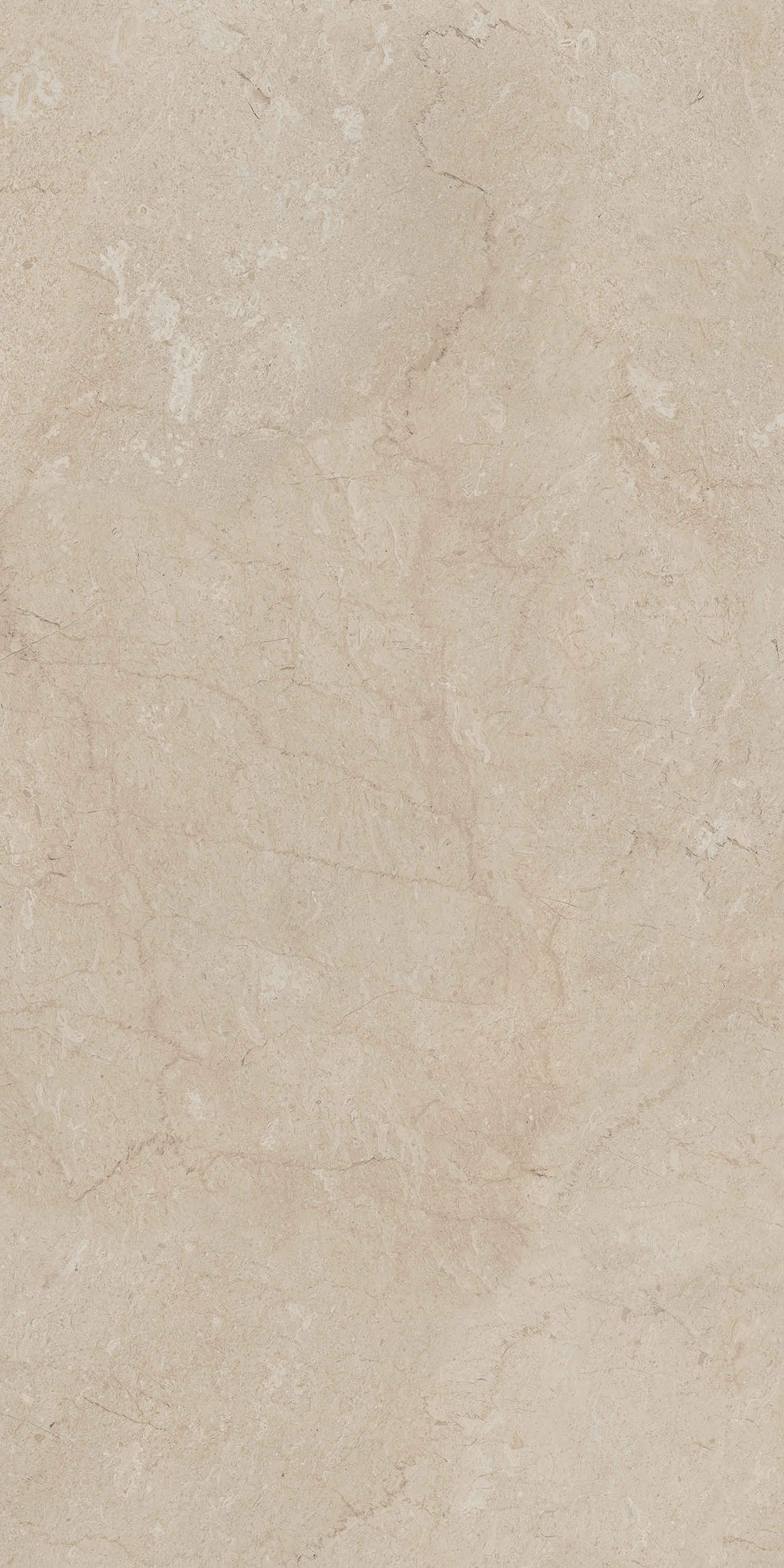 AEM01/NS_R9/80x160x10R/GW На пол Элемента AEM01 Бежевый Неполированный Рект 80x160x10 - фото 8