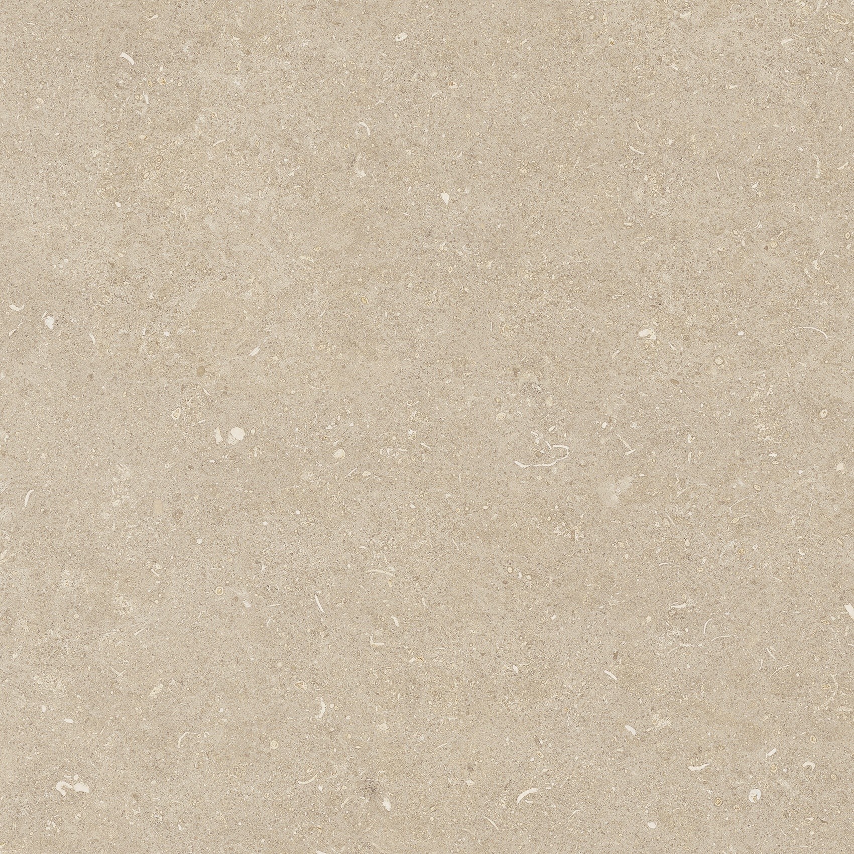 785497 На пол Rinascenza Arena Conchiglia Grip 60x60 - фото 3