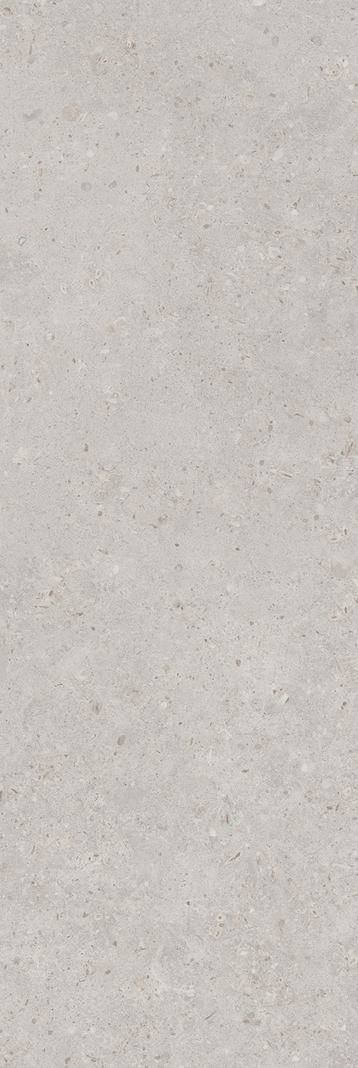 14053R На стену Риккарди Серый Светлый Матовый Обрезной 40x120 - фото 3