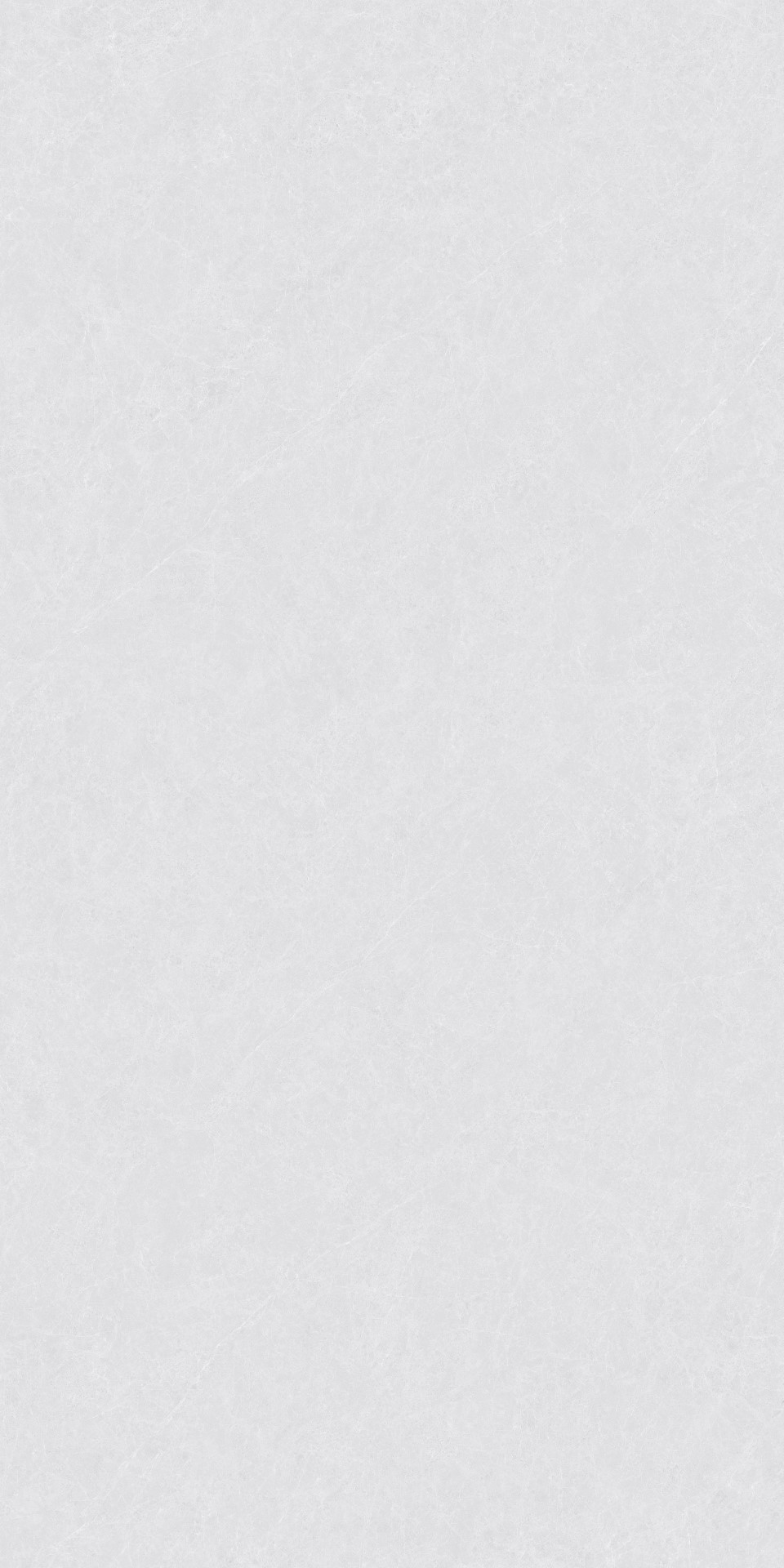 ZA-L12502 На пол Пепел Матовый 1200x600x9 - фото 4