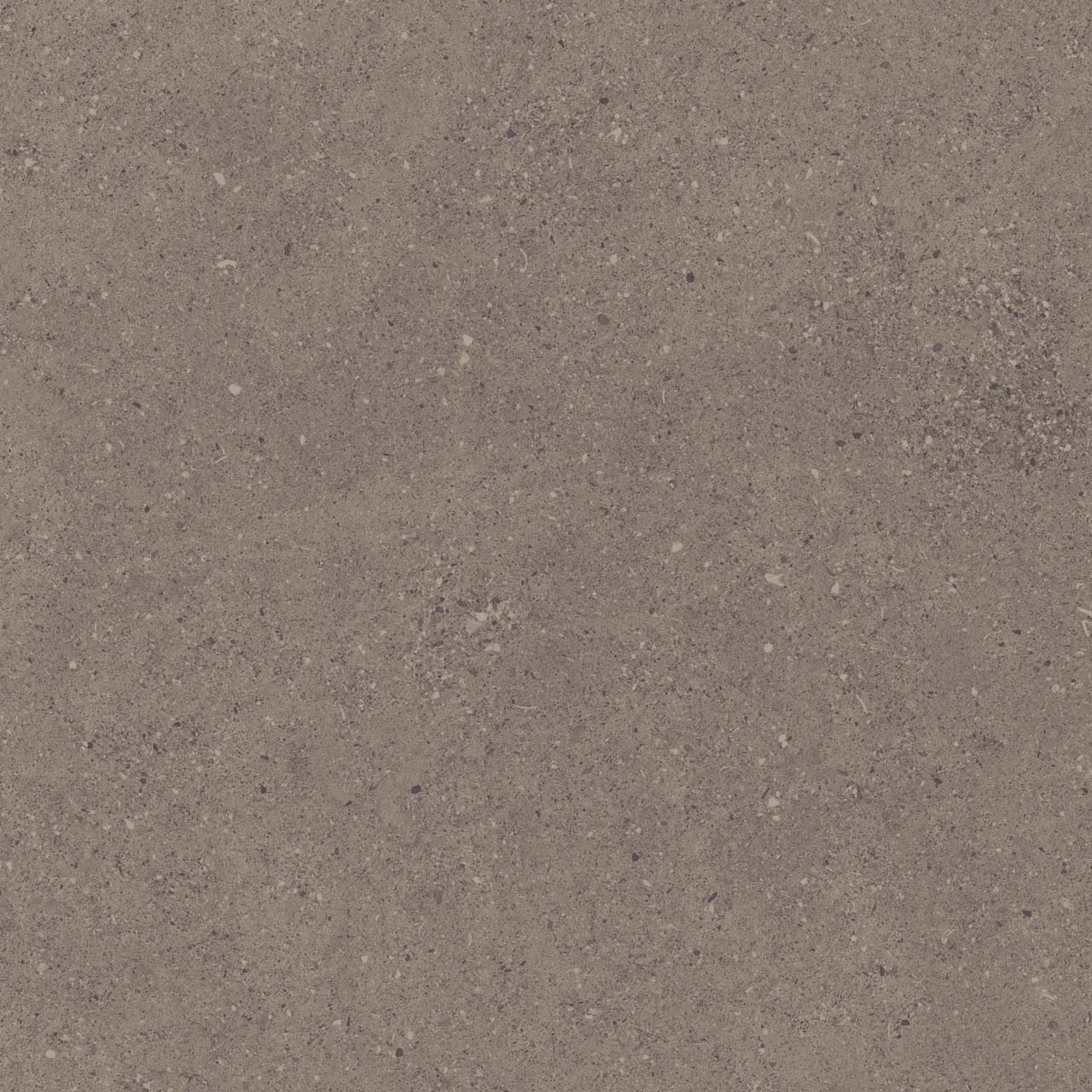 CE04/NR_R11/60x60x20R/GW На пол Спенс Темно-серый Структурированный Рект 60x60x20 - фото 2
