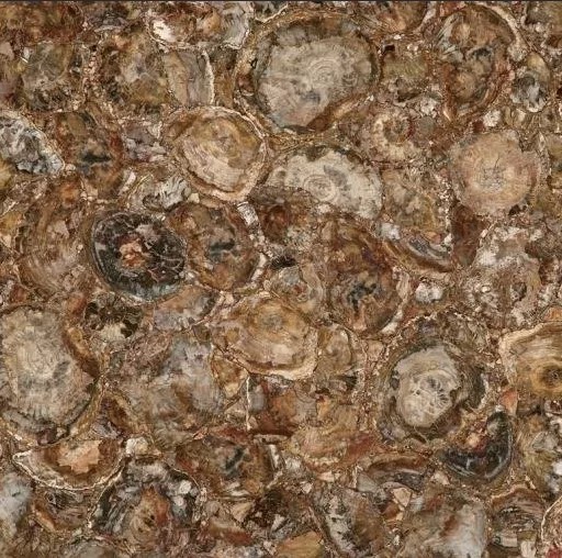 MC-SP09 На пол Semiprecious Petrified Wood (Round) (Compound With Granit) 100x100