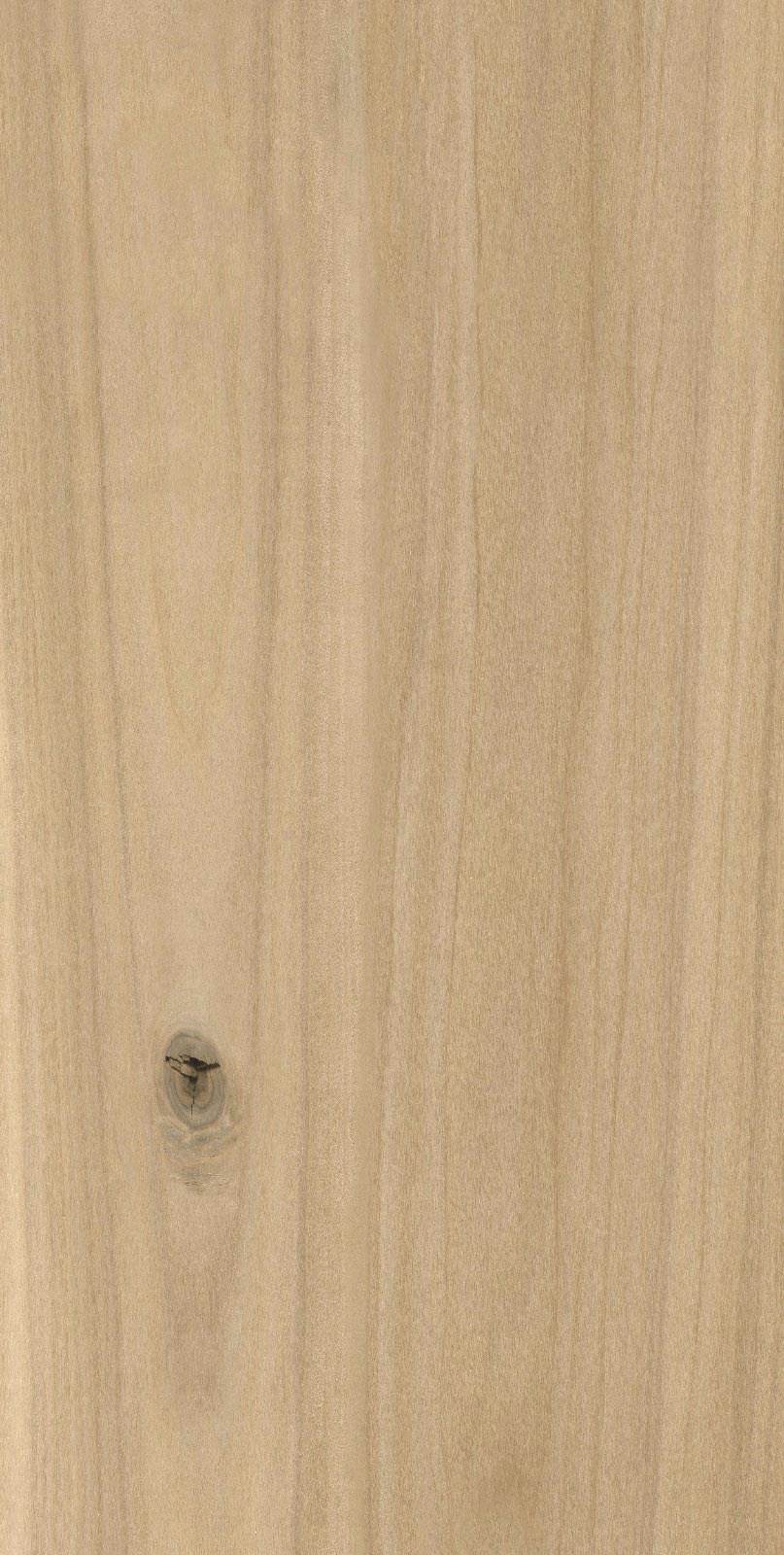 R4SW0D02MR5 На пол Wood Select Wood Beige ректификат 30x60
