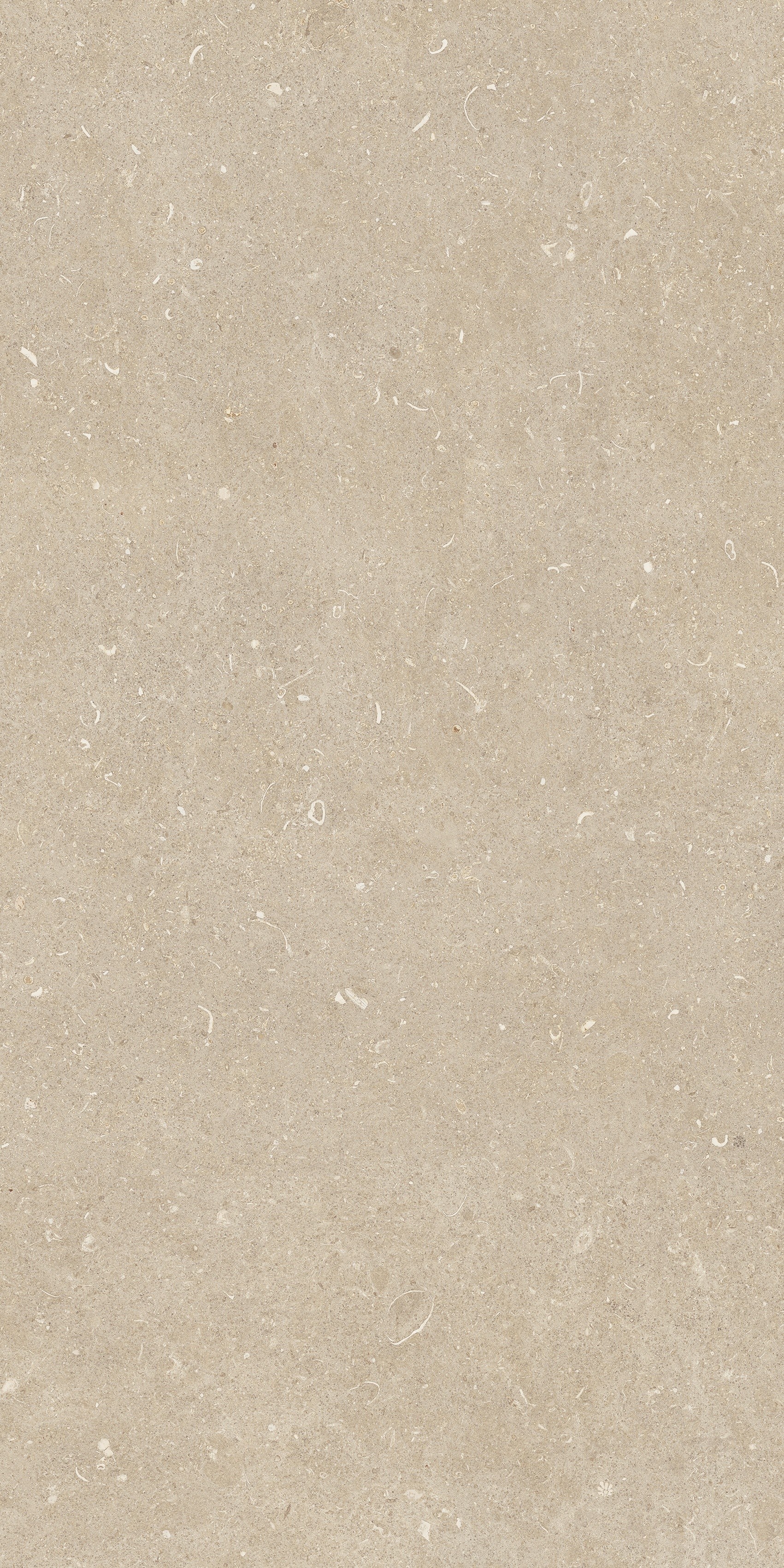 785493 На пол Rinascenza Arena Conchiglia Grip 60x120