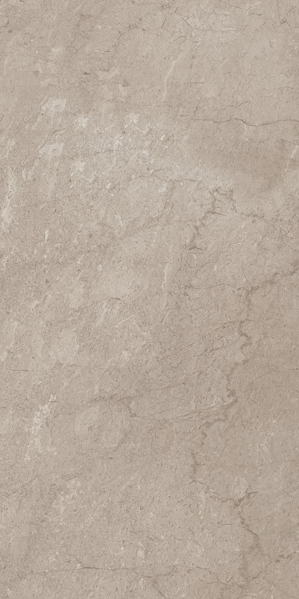 AEM02/NS_R9/60x120x9R/GW На пол Элемента Серый Неполированный Рект 60x120x9 - фото 11