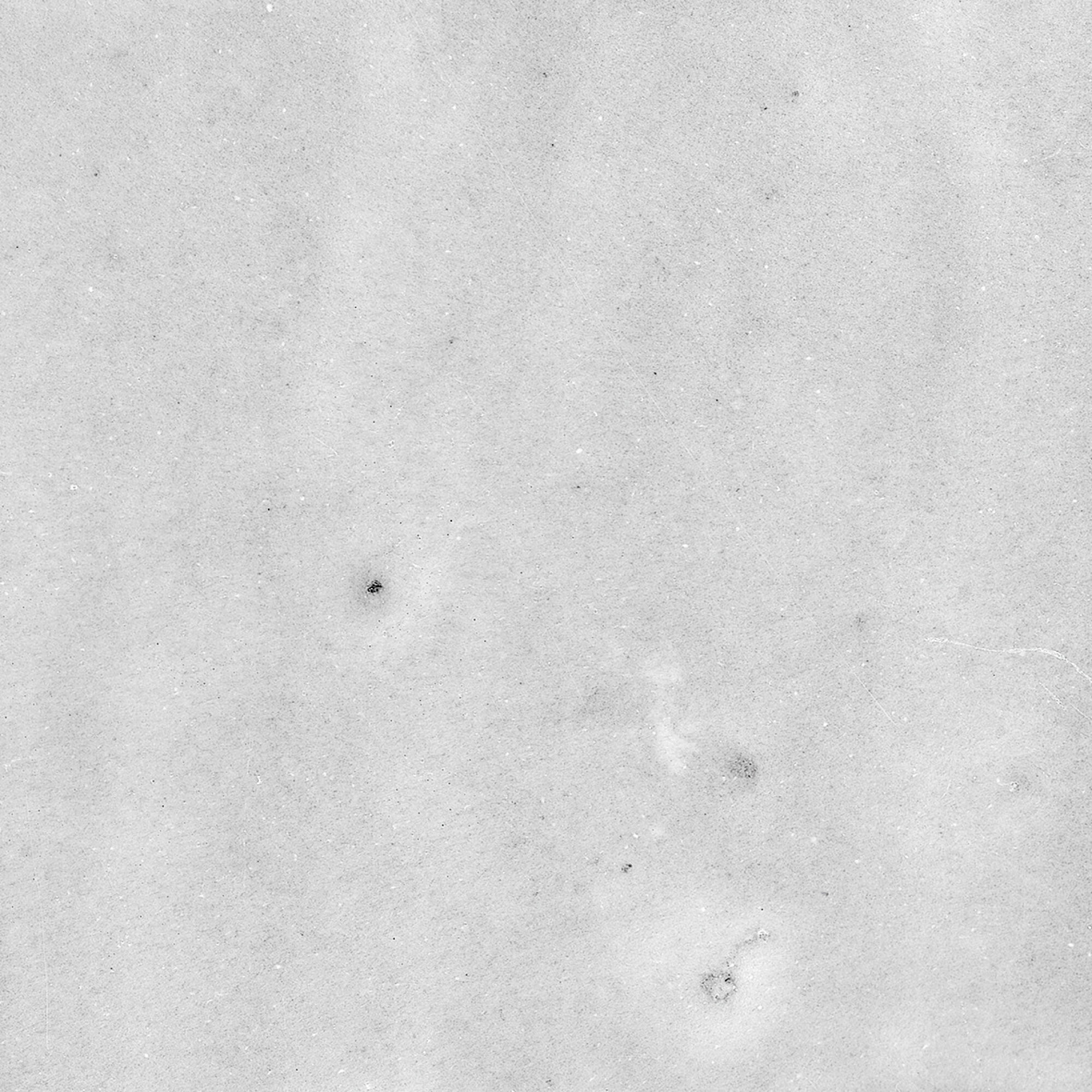 40850 На стену Afra White/R 10.7x10.7 - фото 45