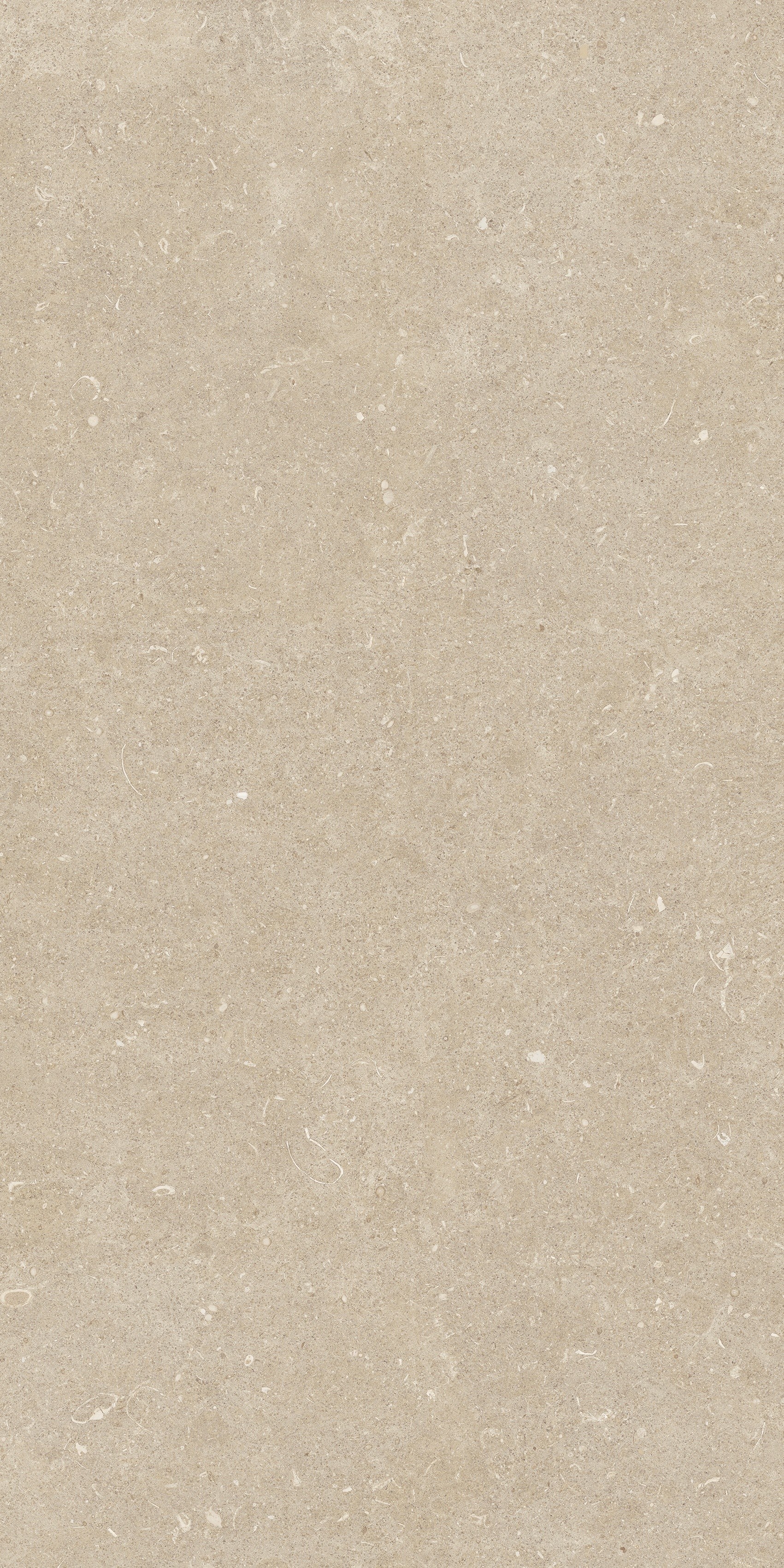 785481 На пол Rinascenza Arena Conchiglia Matte 60x120 - фото 2