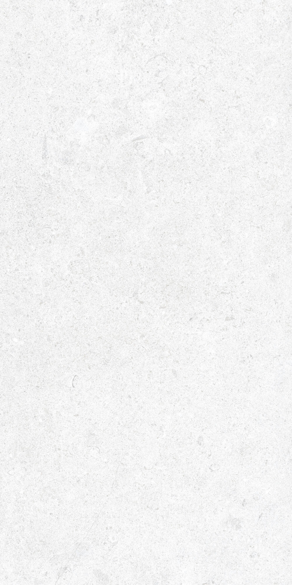 36905 На пол Cluny White 4D/50X100X2/A/R 50x100 - фото 2