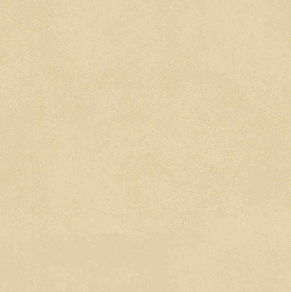 ENCLR6079MT2020 На пол Levels Avorio Matt 200х200х8 - фото 16