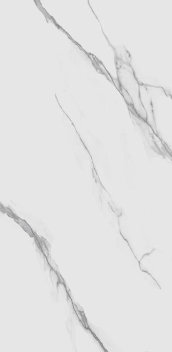 TP612M001 На пол Авиталь Матовый 60x120 - фото 2