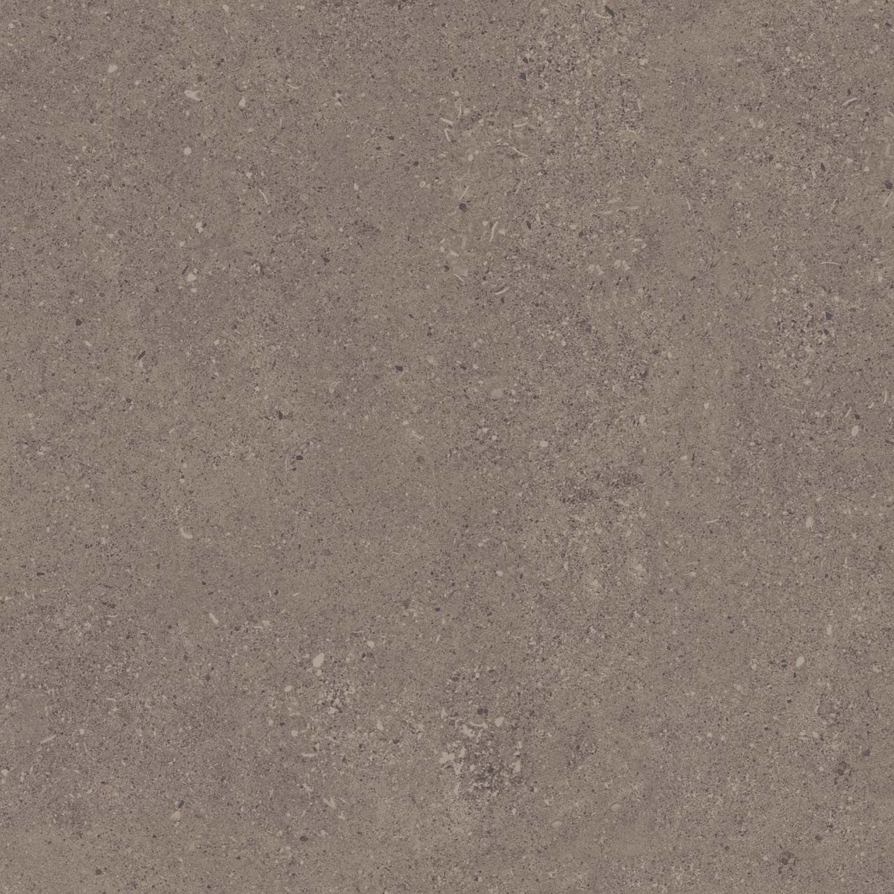CE04/NR_R11/60x60x20R/GW На пол Спенс Темно-серый Структурированный Рект 60x60x20 - фото 7