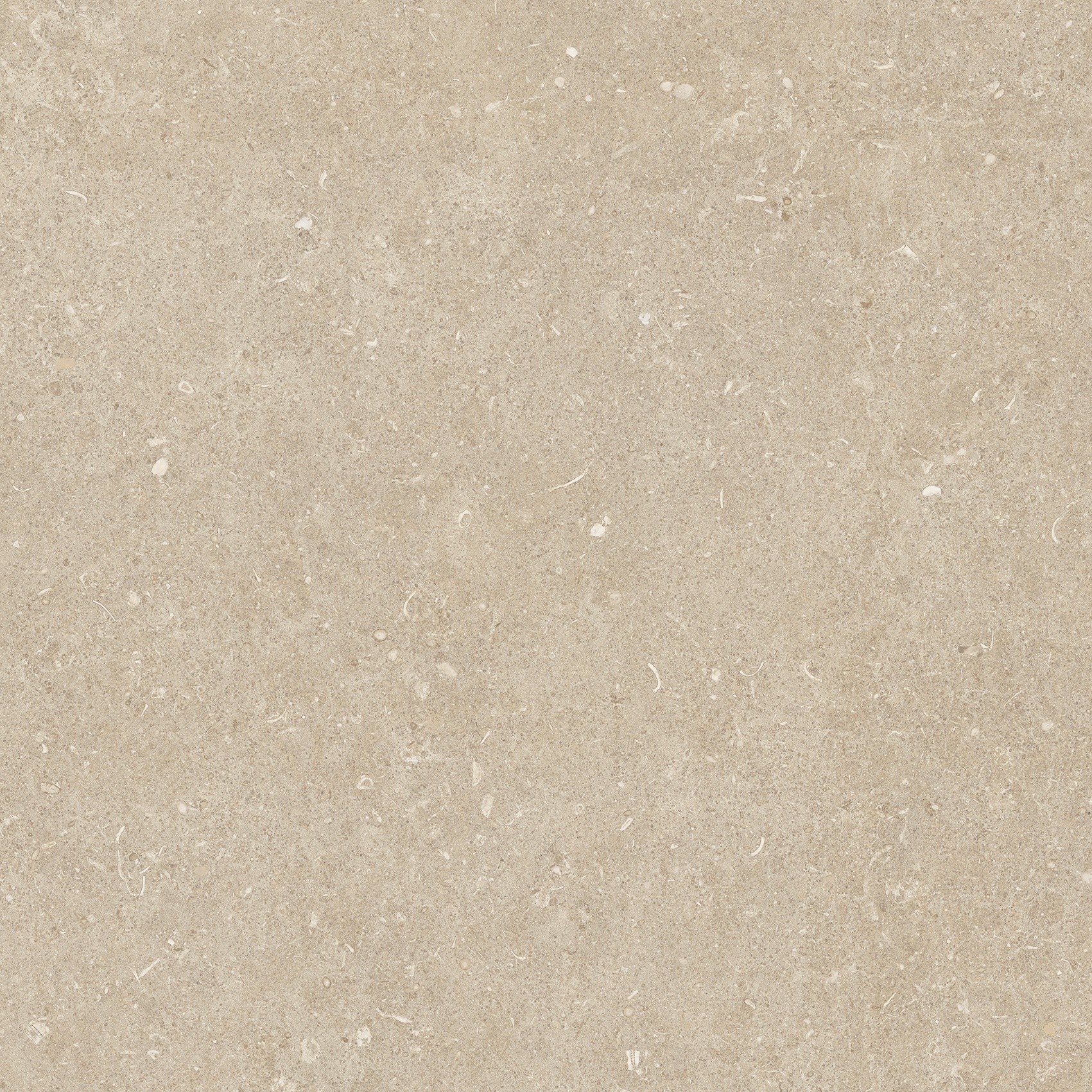 785497 На пол Rinascenza Arena Conchiglia Grip 60x60 - фото 8