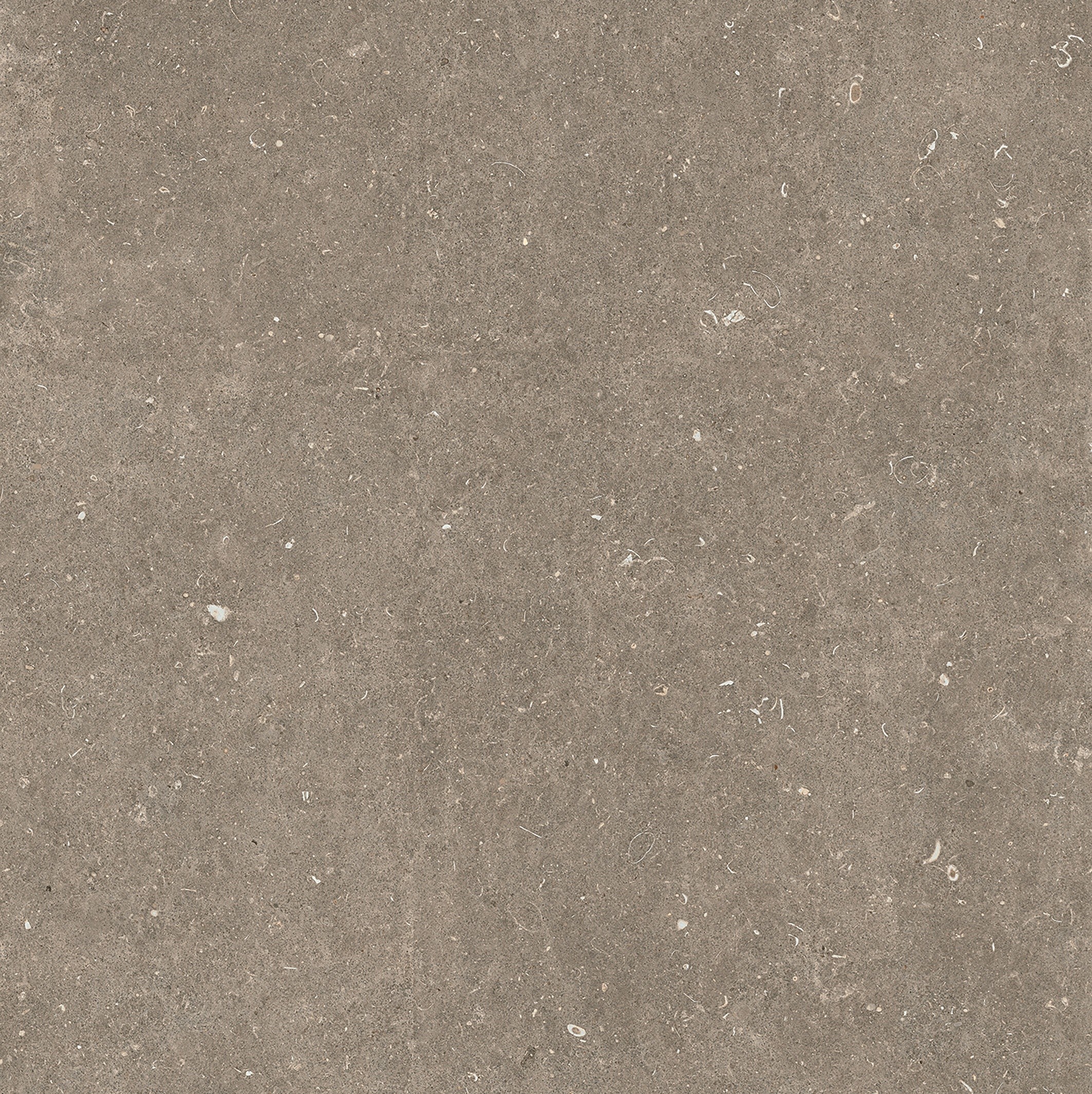 785580 На пол Rinascenza Arena Pietra Matte 6mm 120x120 - фото 4