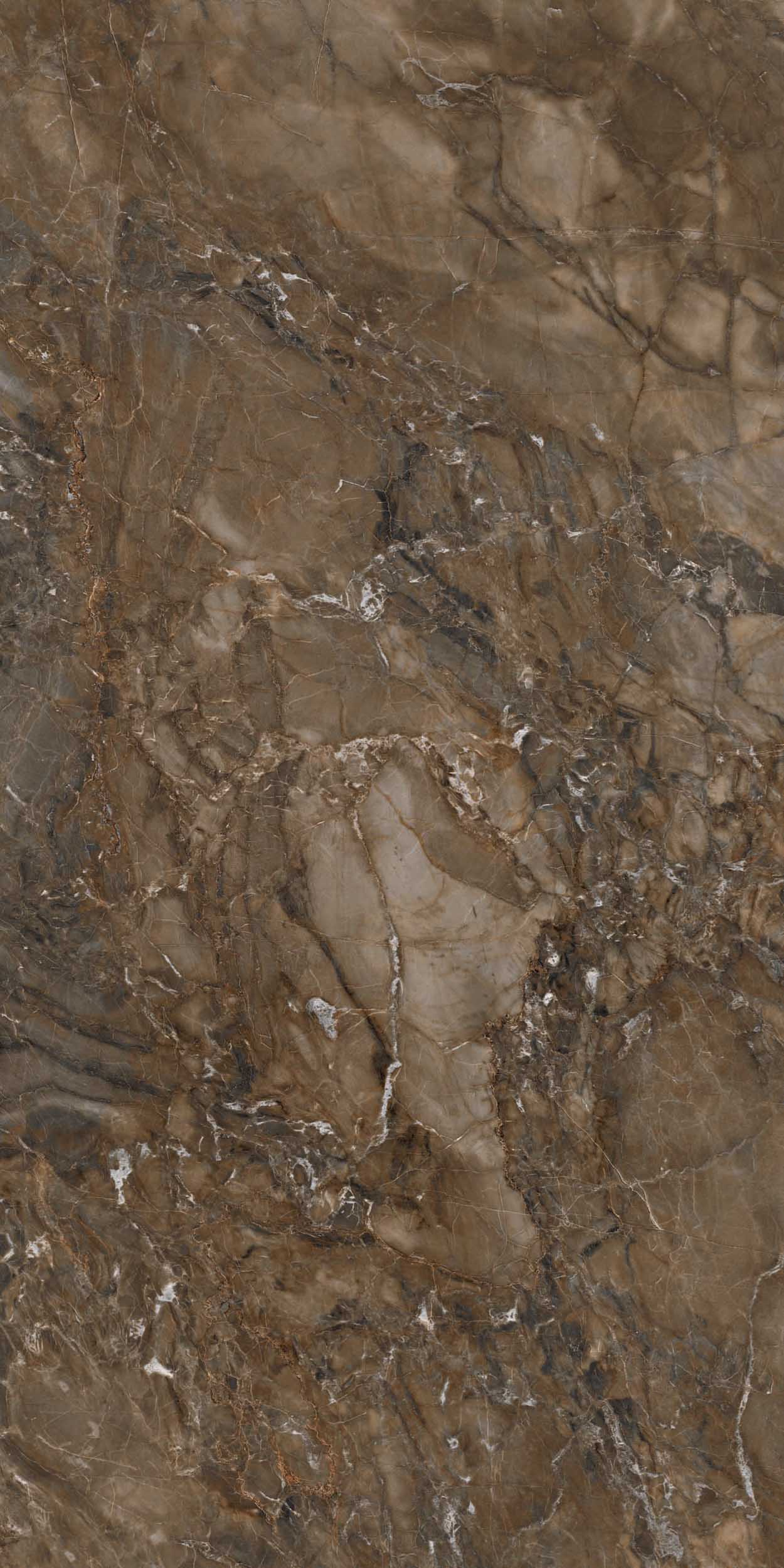 BR04/NS_R9/60x120x9R/GC На пол Bernini BR04 Dark Brown Неполированный Рект. 60x120x9 - фото 2