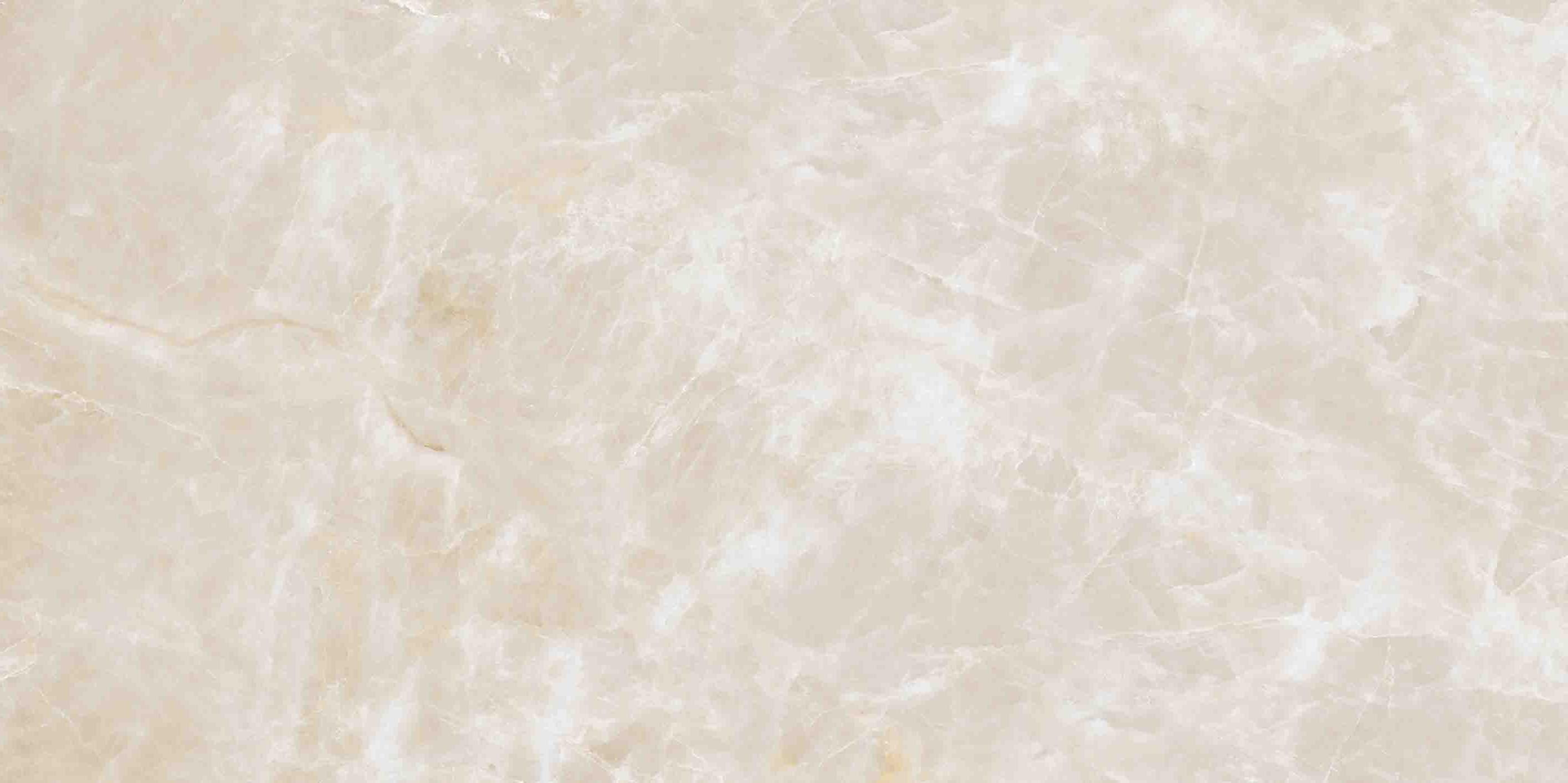 PP-02-781-1198-0598-1-001 На пол Root Ivory Mat 119.8x59.8 - фото 4