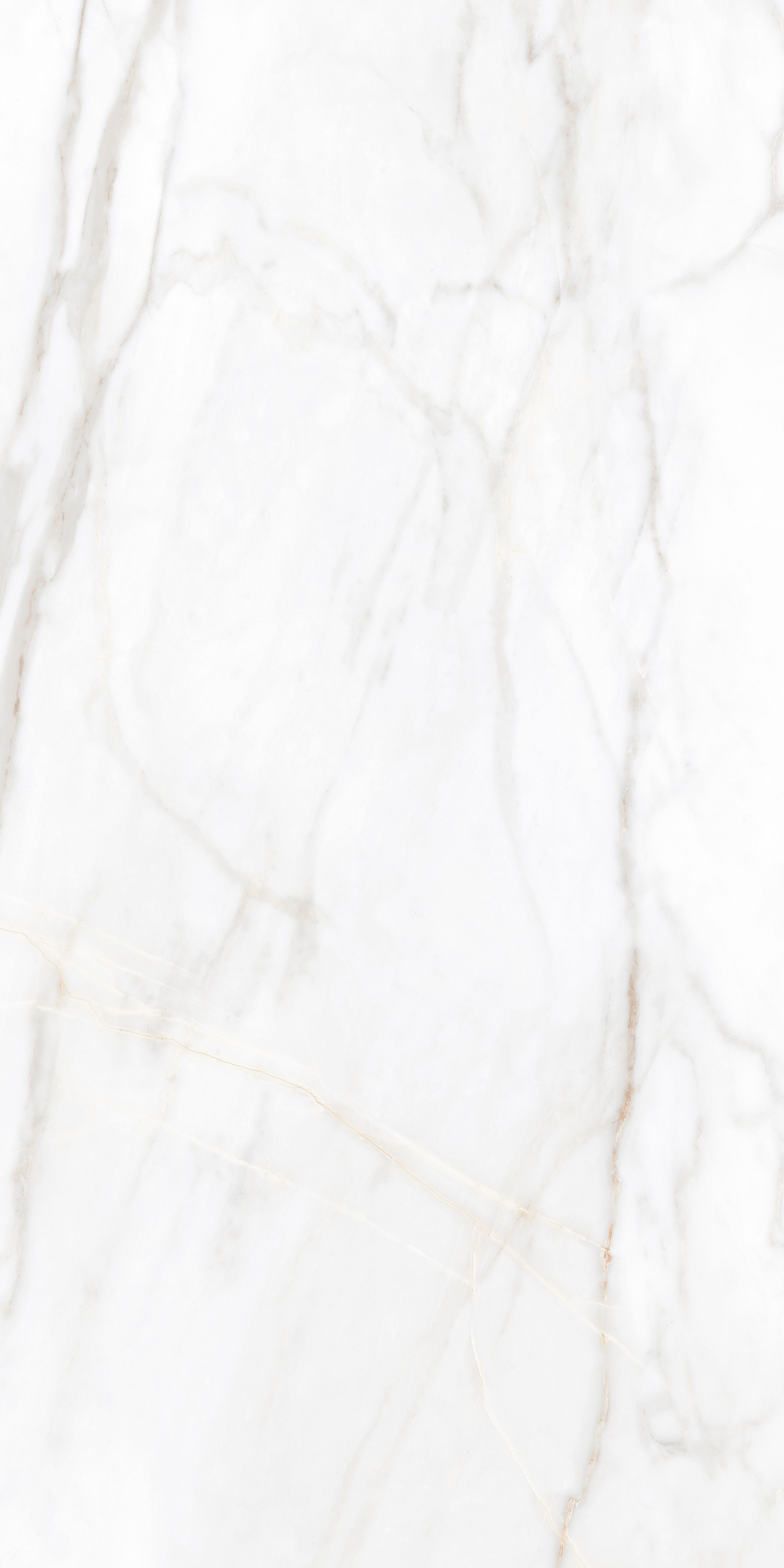 SM02/NS_R9/60x120x9R/GW На пол Supreme SM02 Gold Неполированный Рект. 60x120x9 - фото 2