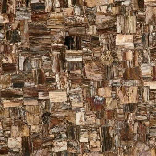 MC-SP10 На пол Semiprecious Petrified Wood (Party) (Compound With Granit) 100x100