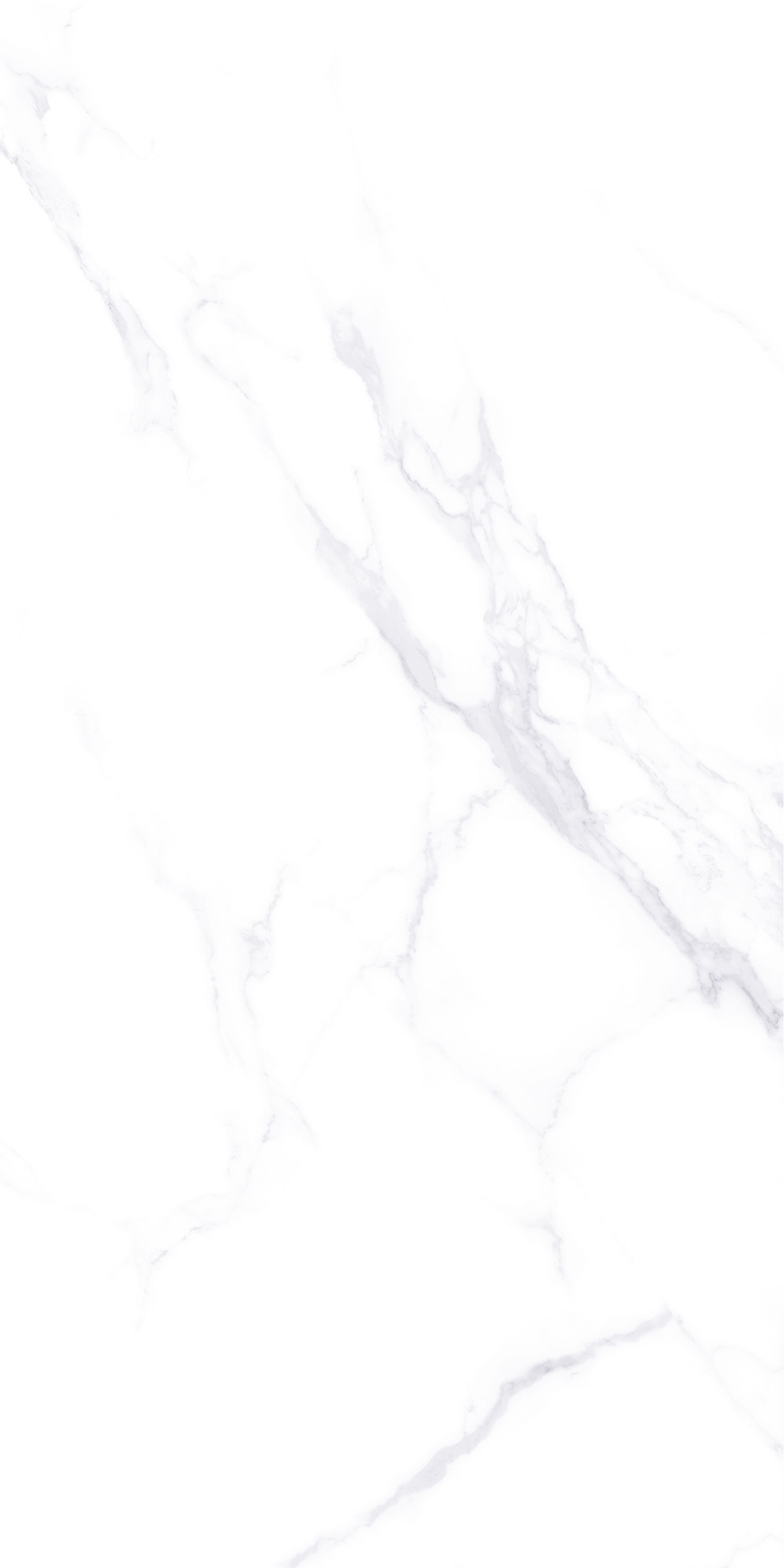 ZA-L12605 На пол Lande 605 PR 1200x600x9 - фото 3