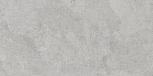 P0008433 На пол Taran Grey Digital Soft 60x120 - фото 5