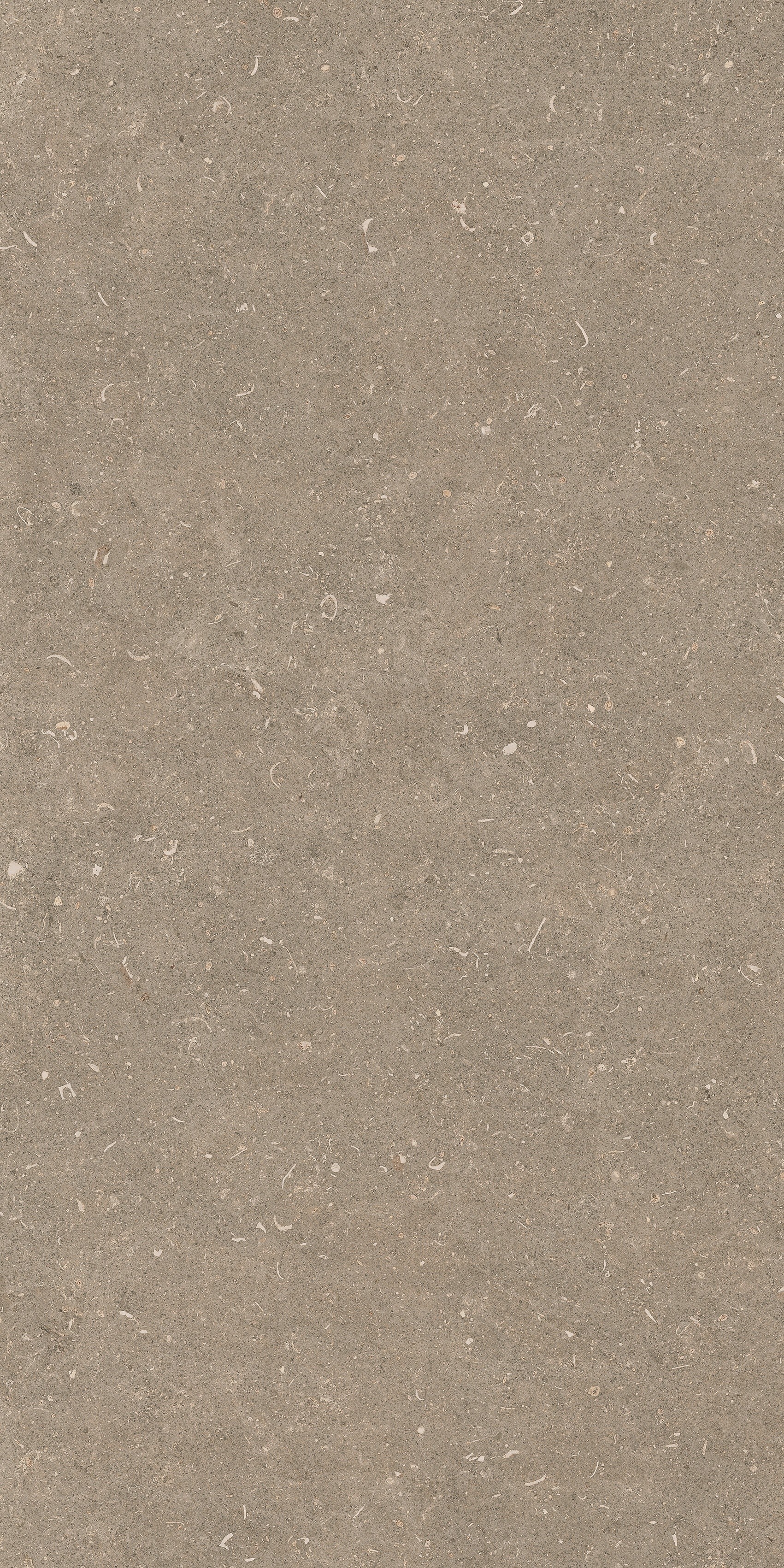 785494 На пол Rinascenza Arena Pietra Grip 60x120 - фото 4