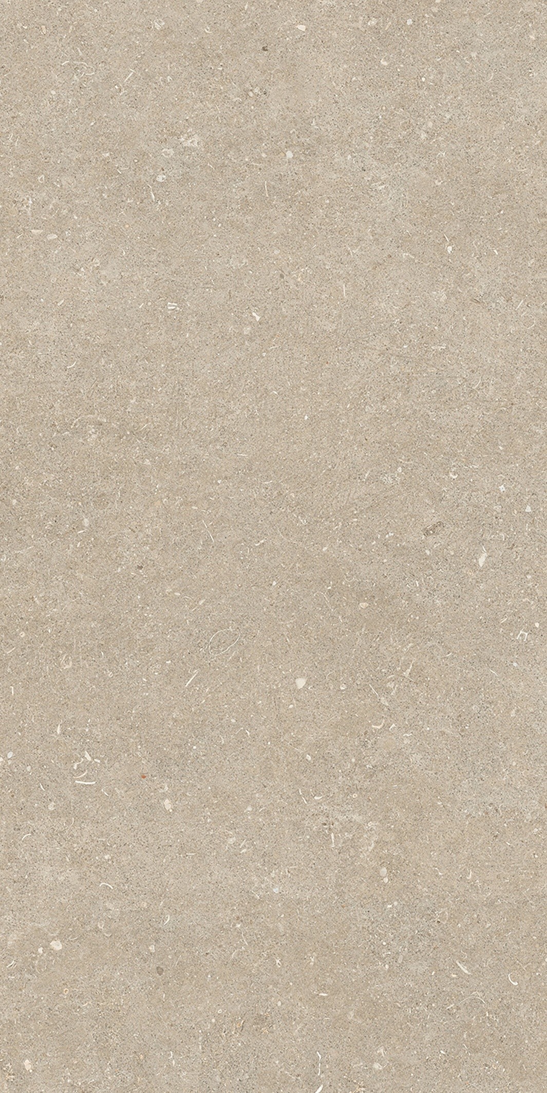 785575 На пол Rinascenza Arena Conchiglia Matte 6mm 60x120 - фото 9