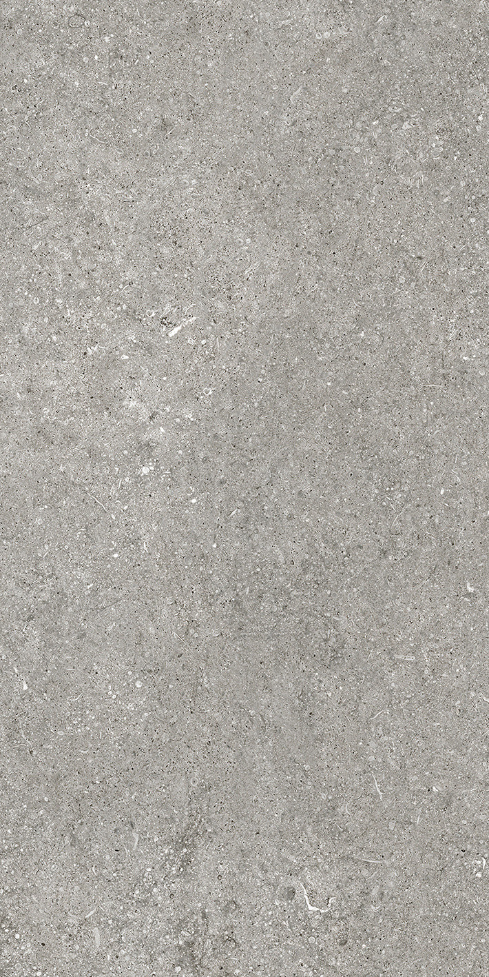 768621 На пол Sensi by Thun Grey Fossil Nat Ret 6mm 60x120 - фото 2