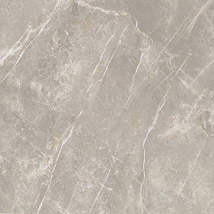 766956 На пол Elemental Stone Grey Dolomia Luc Ret 60x60