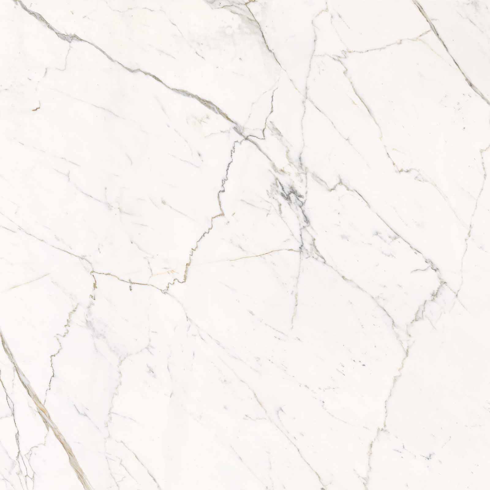 59A2 На пол Elements Lux Calacatta Statuarietto Lappato RT 120x120 - фото 8