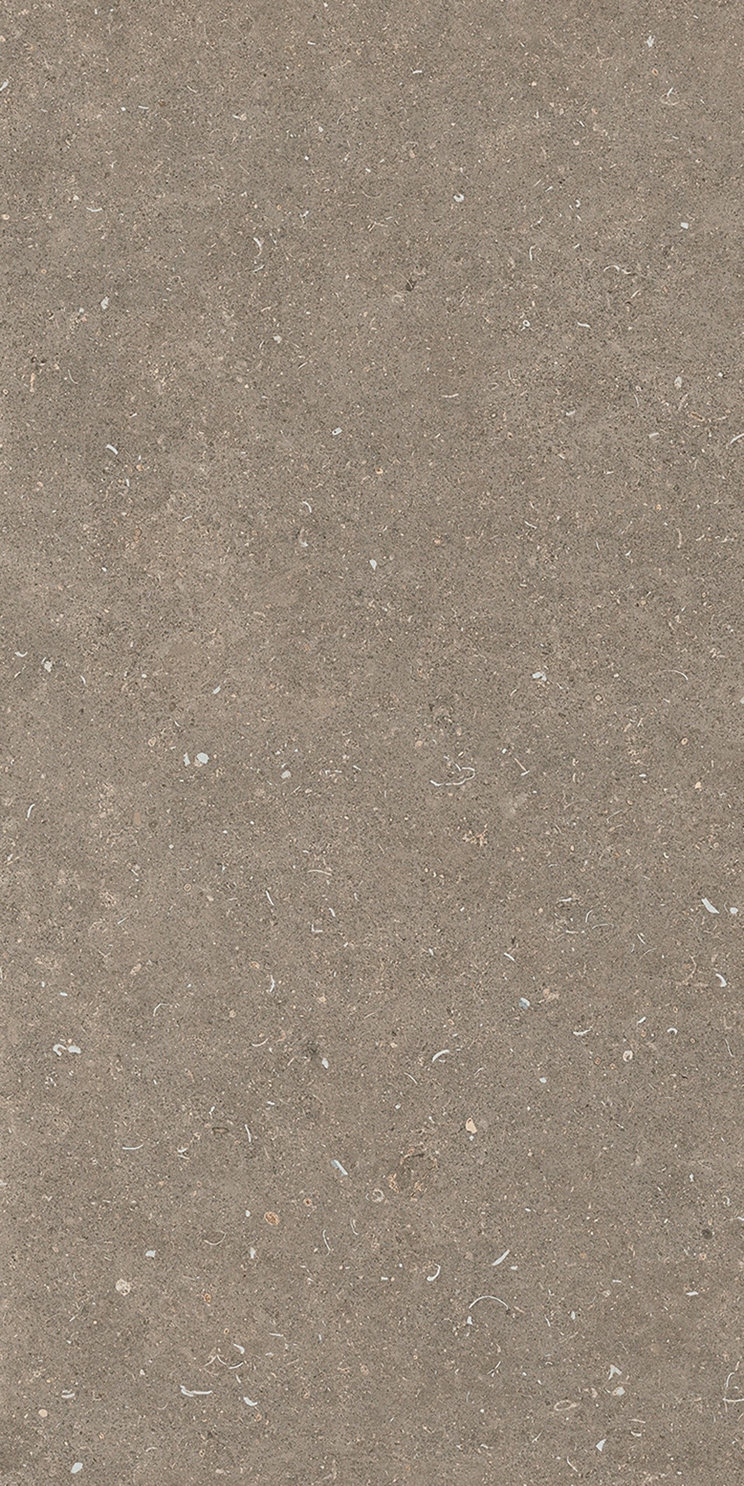 785576 На пол Rinascenza Arena Pietra Matte 6mm 60x120 - фото 5