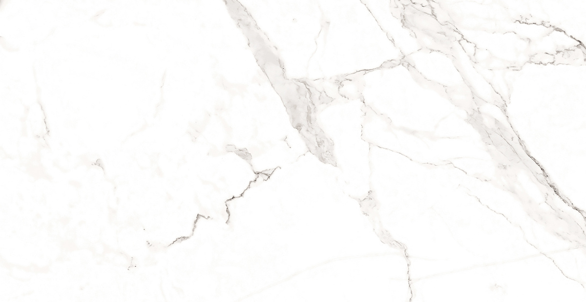 F2020821120M На пол Statuario Classic Matt 60x120