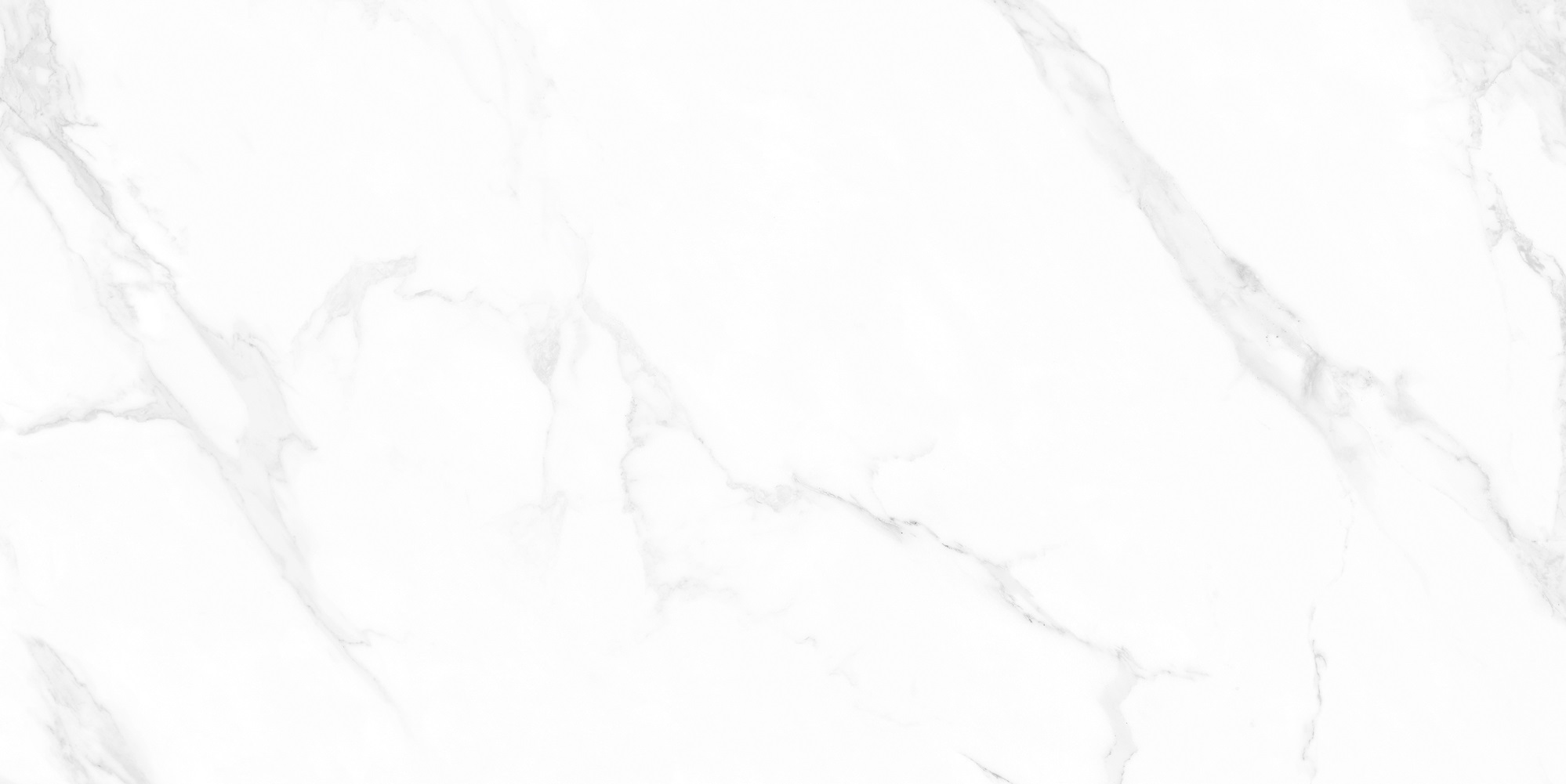 M4402P На пол Marble Carrara Anita Glossy 60x120 - фото 4