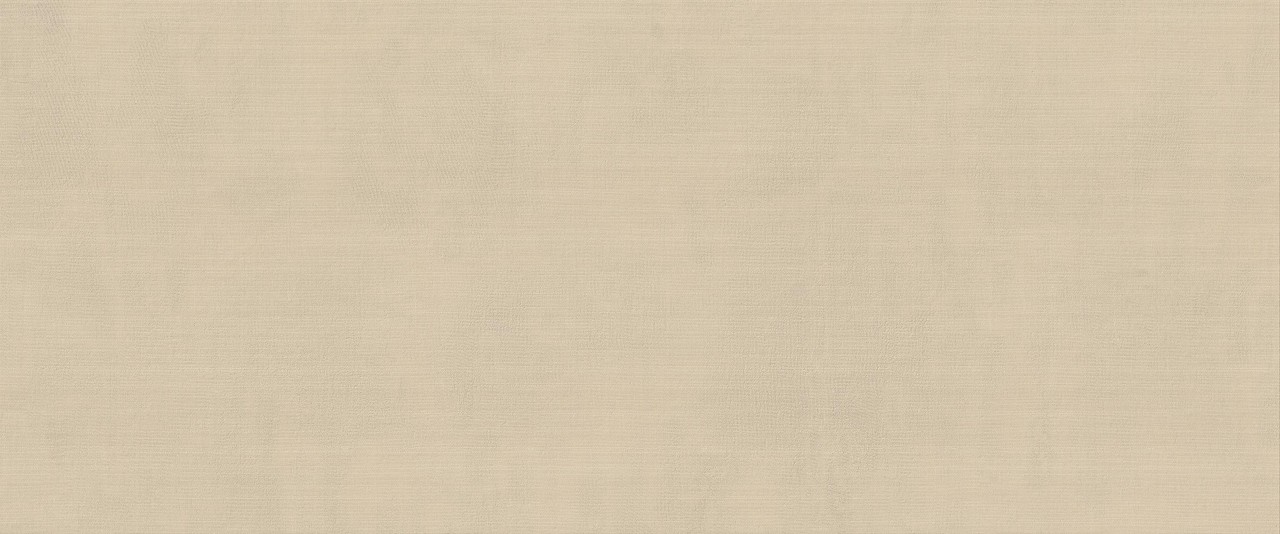 HCDR На стену Vest Ecru Matt 50x120 - фото 4