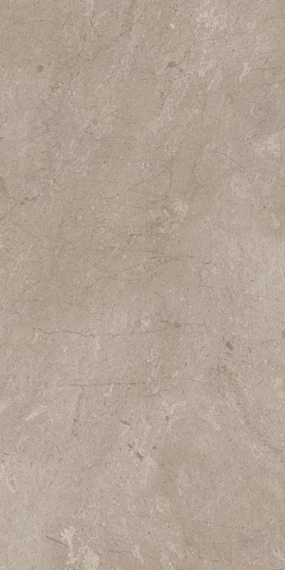 AEM02/NS_R9/60x120x9R/GW На пол Элемента Серый Неполированный Рект 60x120x9 - фото 6