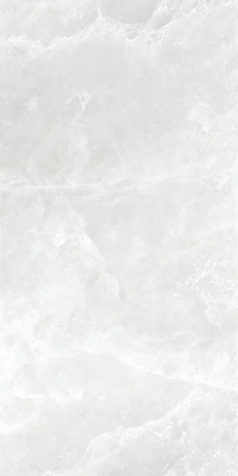 QI612S4090M  На пол Elf Stone Polish 60x120 - фото 6