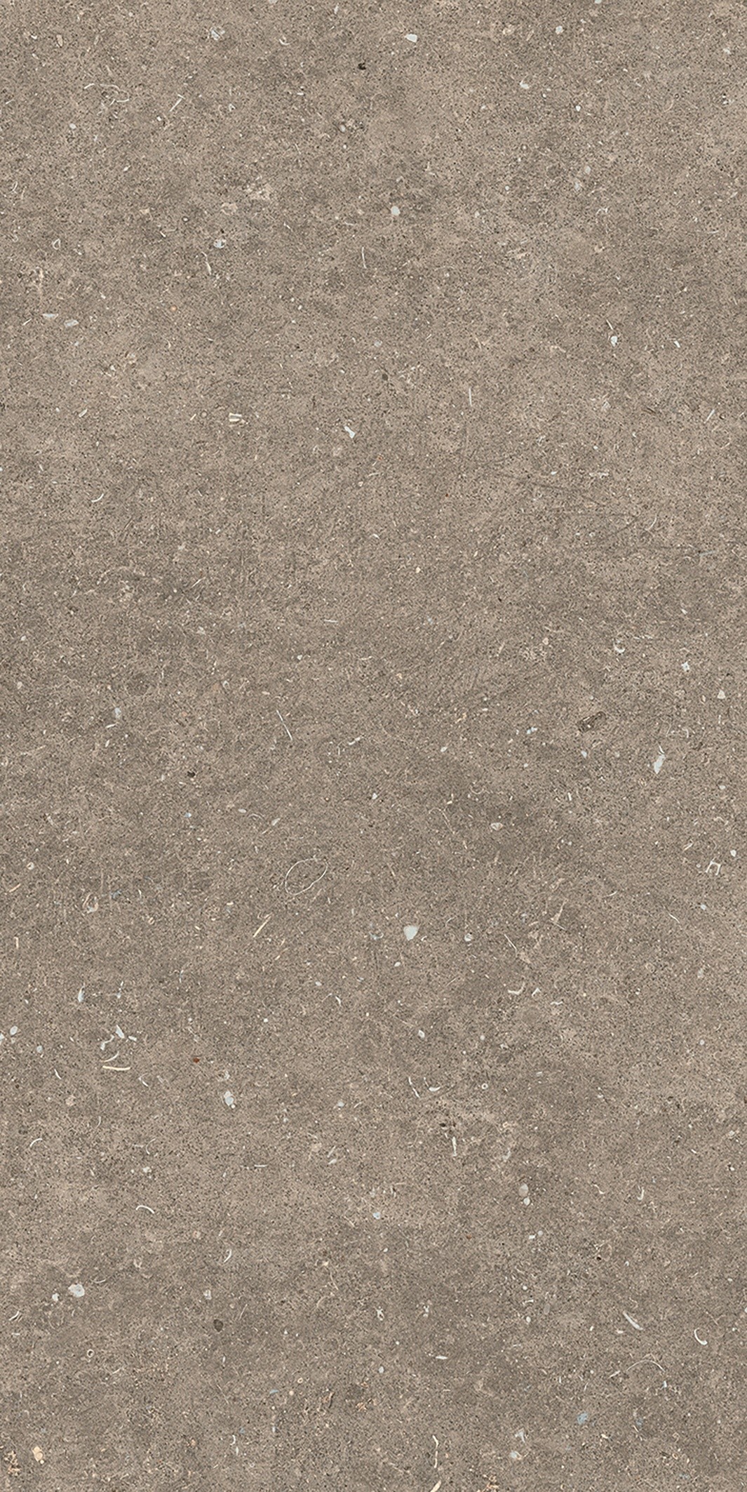 785576 На пол Rinascenza Arena Pietra Matte 6mm 60x120 - фото 9