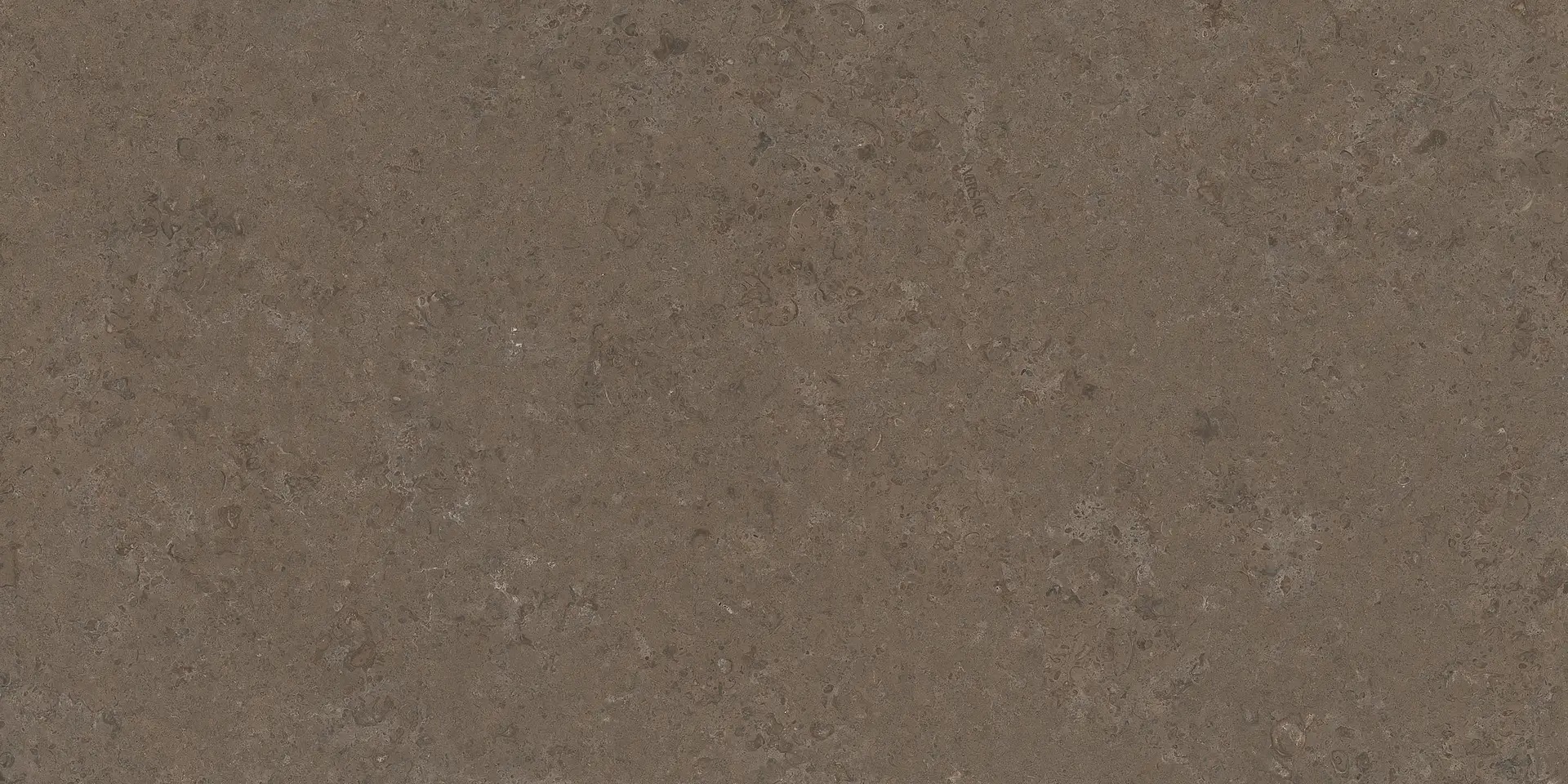 PF60020226 На пол V Stone Brown Lap Rett 8.5mm 60x120 - фото 3