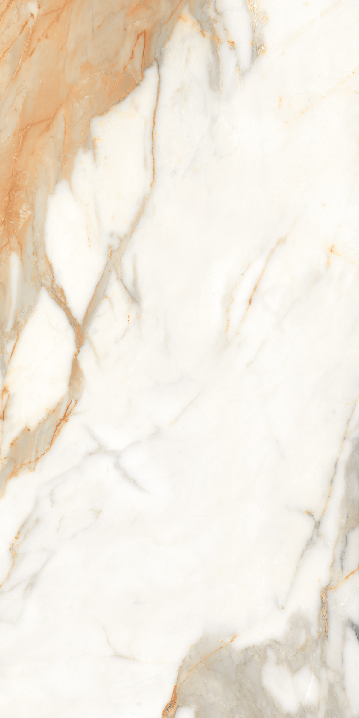 888  На пол Marble 5.5mm Calacatta Gold 120x60 - фото 2