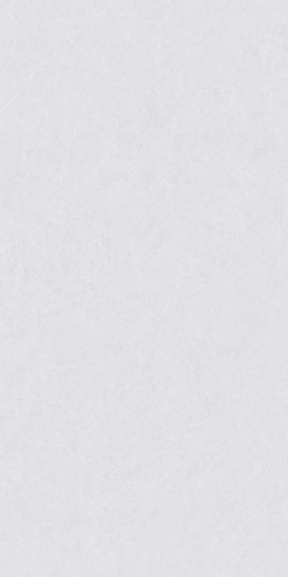 ZA-L12502 На пол Пепел Матовый 1200x600x9 - фото 3