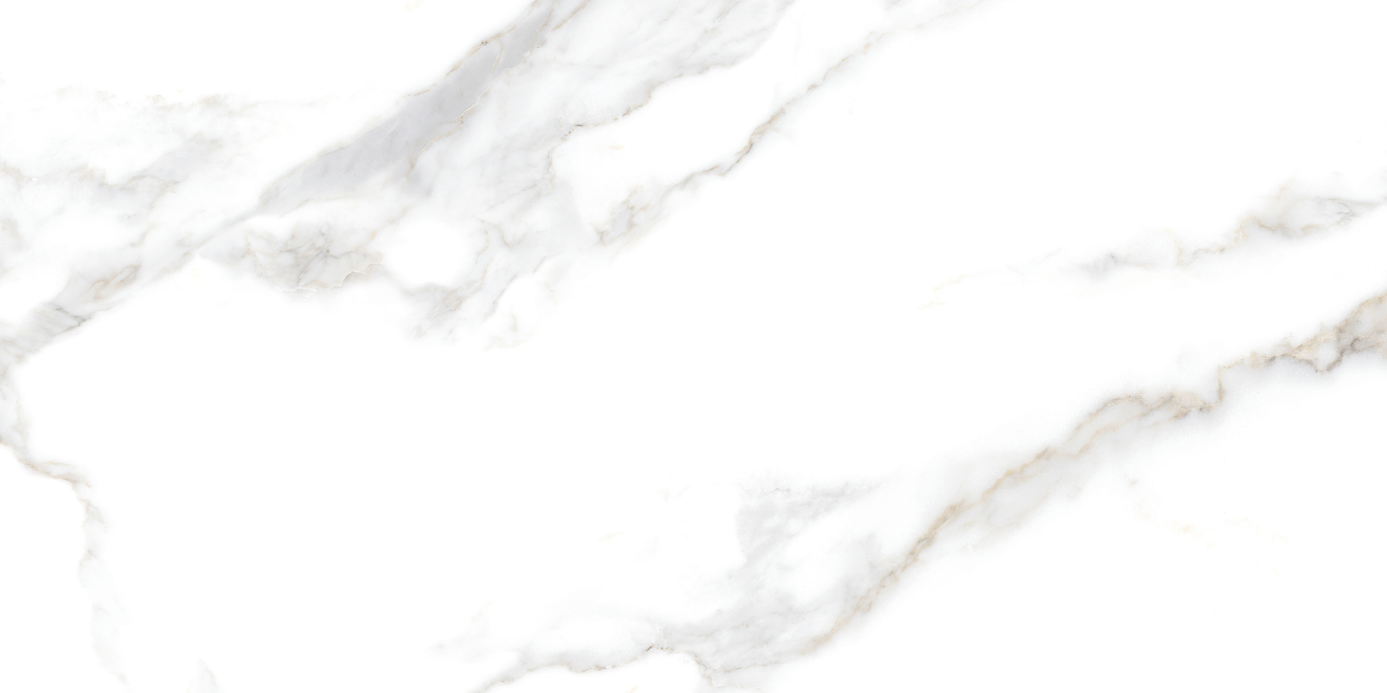 GT5010026803MR На пол Сопрано Белый 50x100 - фото 3