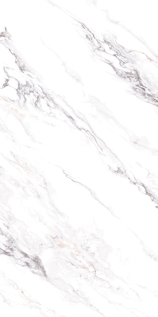 ZA-B12606 На пол Butterfly 606 PR 1200x600x9 - фото 5