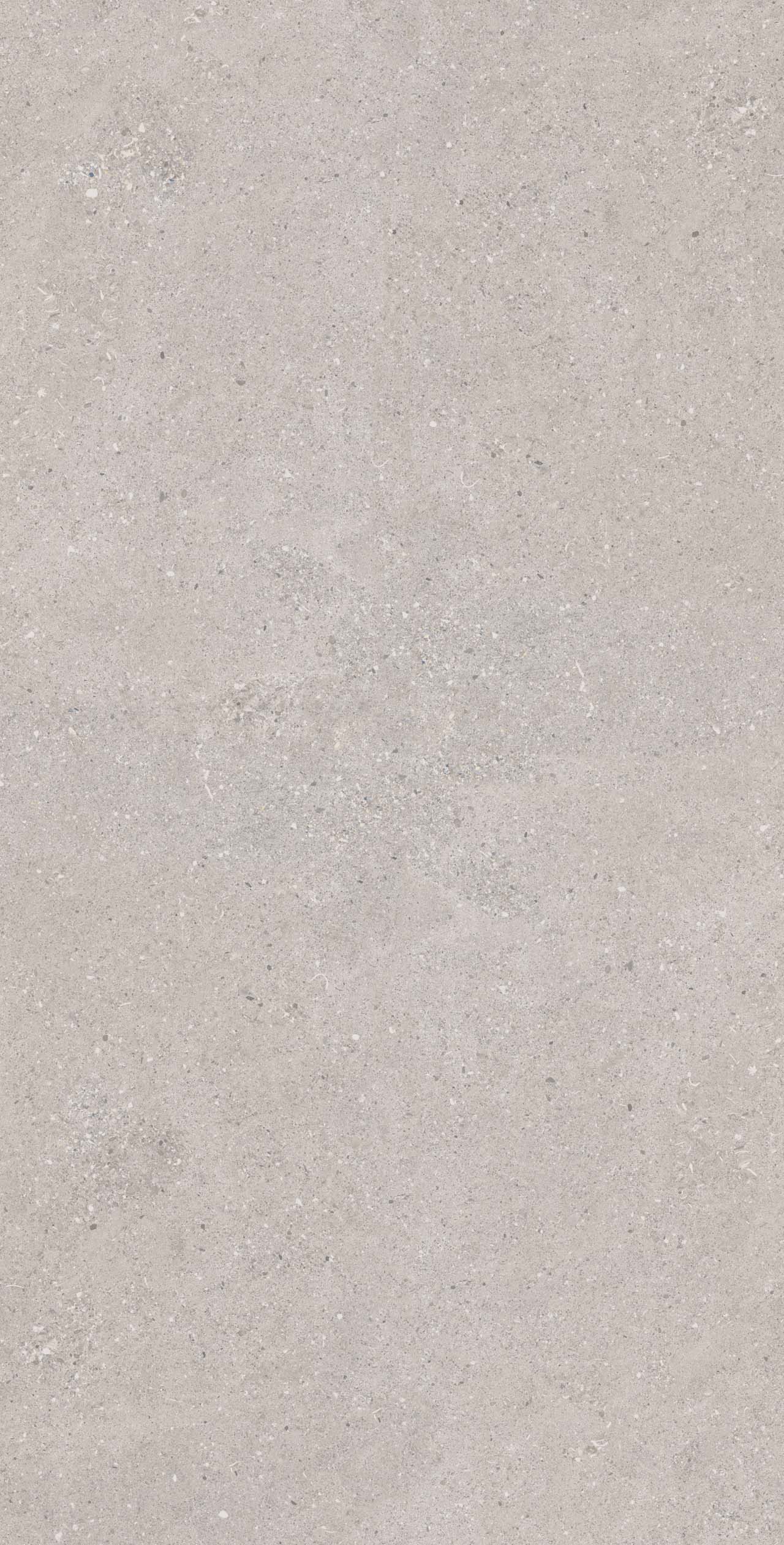 CE02/NR_R9/60x120x9R/GW На пол Спенс CE02 Светло-серый Структурированный Рект 60x120x9 - фото 3