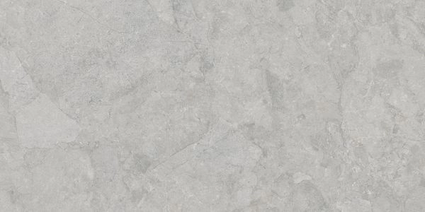 P0008433 На пол Taran Grey Digital Soft 60x120 - фото 6