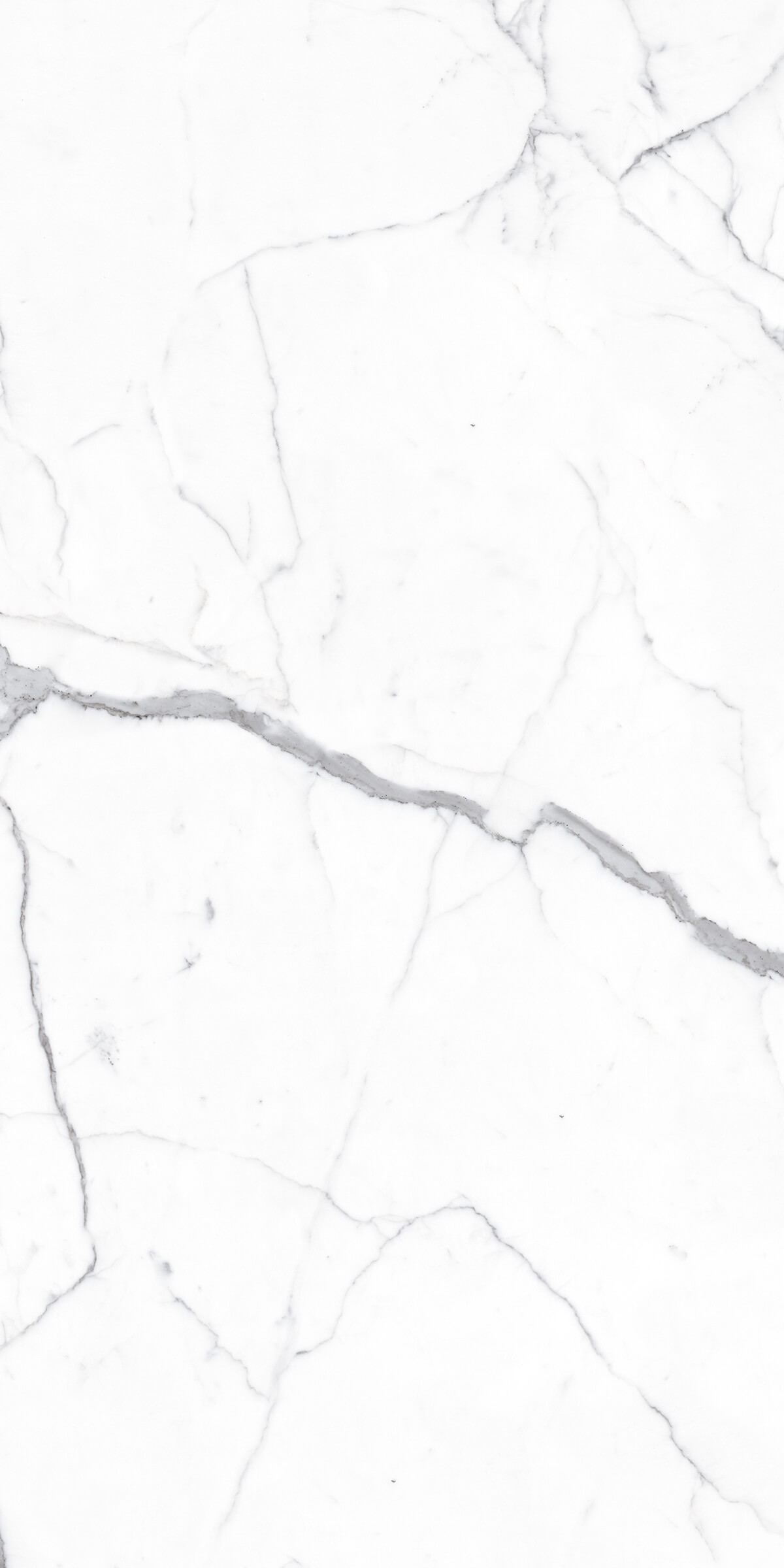 Напольный Marble Marble Alps Statuario 120x240 - фото 2