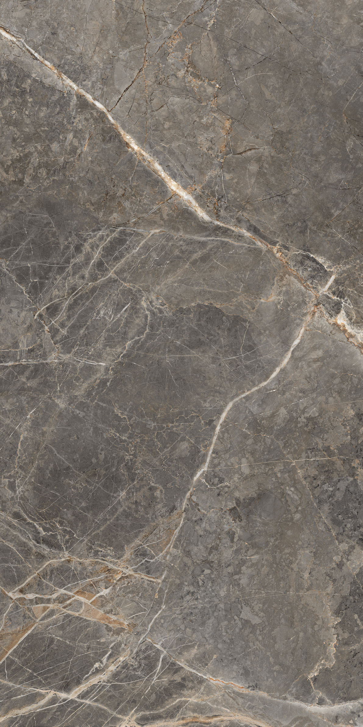 GT1206023109MGR На пол Salsa Темно-серый 60x120 - фото 6