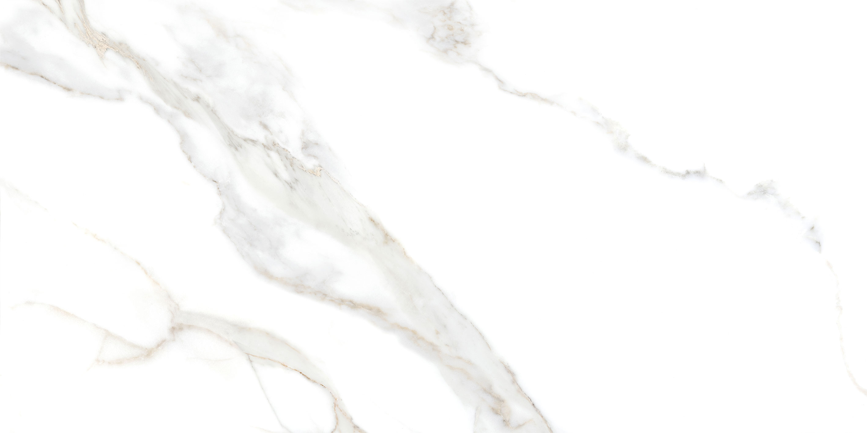 GT5010026803MR На пол Сопрано Белый 50x100 - фото 2