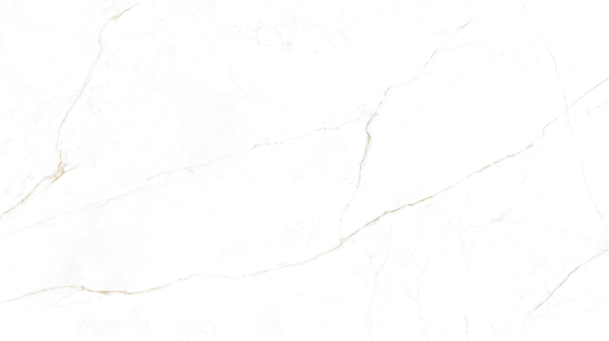 31745 На пол Museum Dual White/100X180/P 100х180 - фото 8