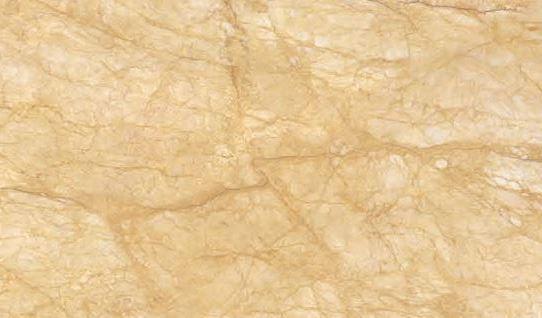 MN677BP261206 Напольный Naples Gold Polished 6mm 120x260